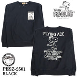 Vintage PEANUTS SNOOPY SWEATSHIRT MADE IN USA ヴィンテージ ピーナッツ スヌーピー ヘヴィーオンス 裏毛 クルーネック プルオーバー pesz-2501